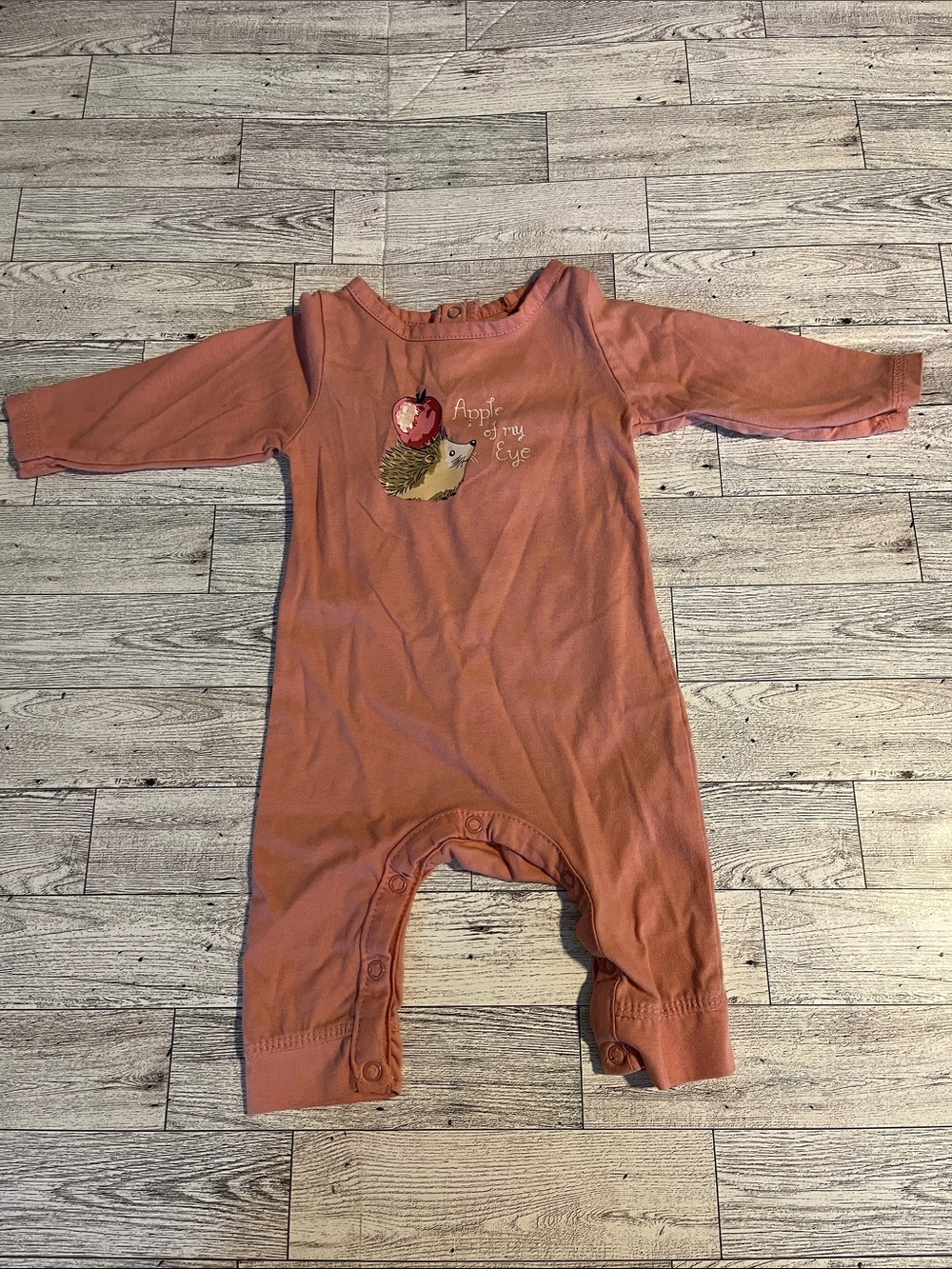 Clay Pink One-Piece Romper with Hedgehog & Apple Graphic Size 0-3 Months
